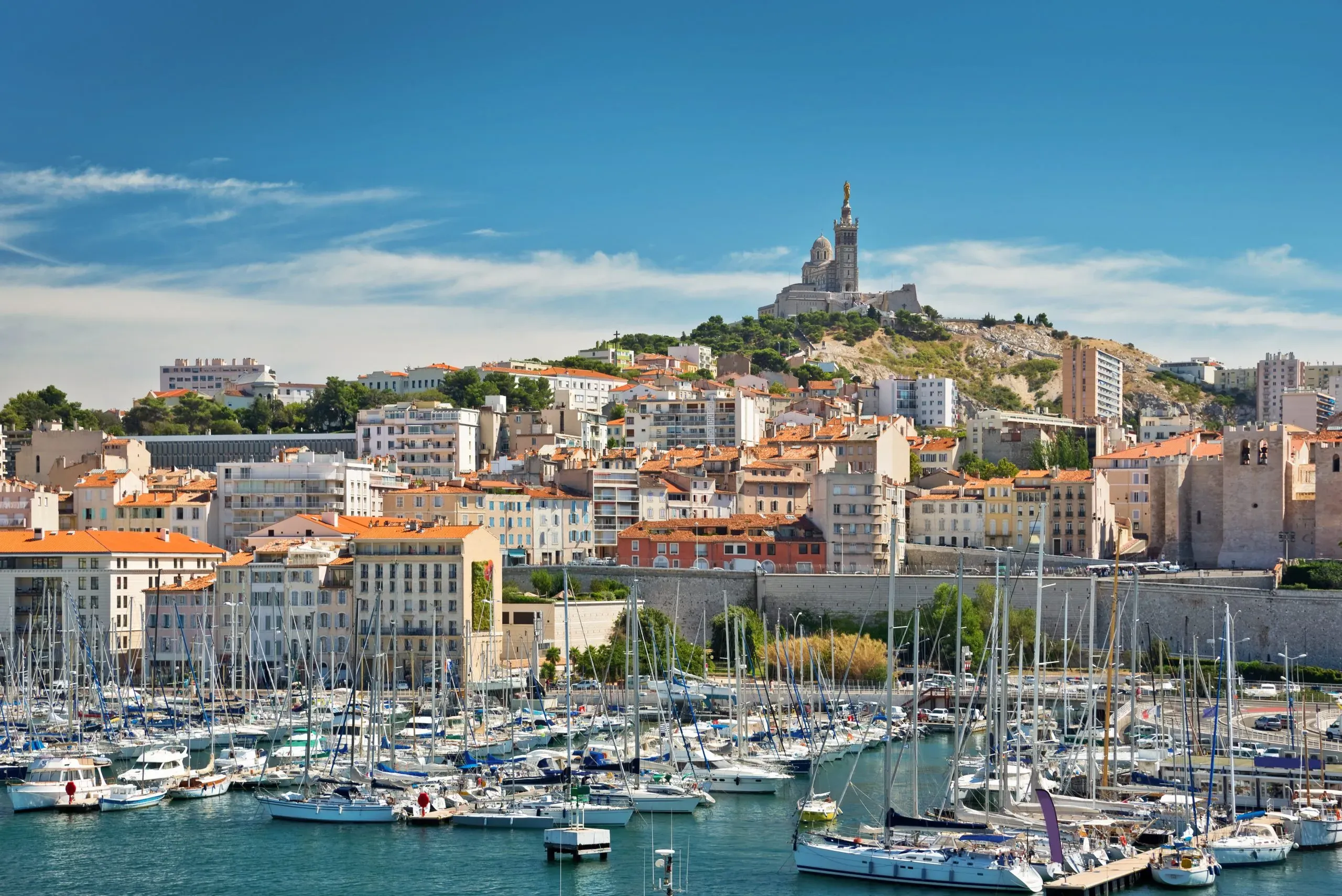 Webinar spécial Marseille : découvrez nos programmes et la vie étudiante | Live Q&A