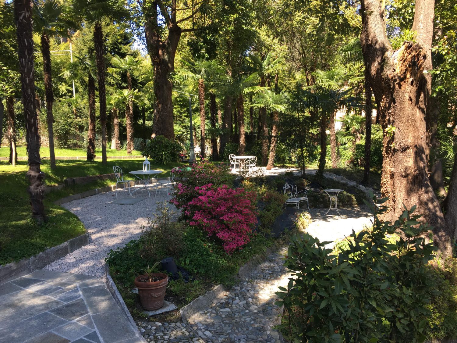 The villa garden, where the family sessions take place