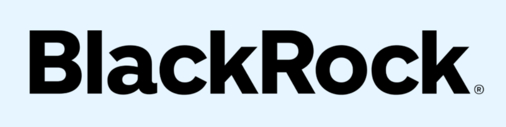 BlackRock company logo in bold black font on a light blue background.